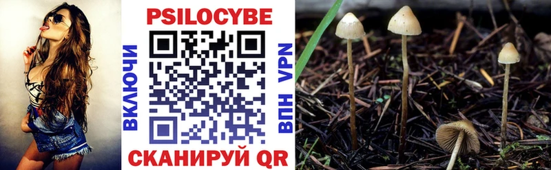 Галлюциногенные грибы Psilocybine cubensis  цена наркотик  MEGA tor  Кяхта 